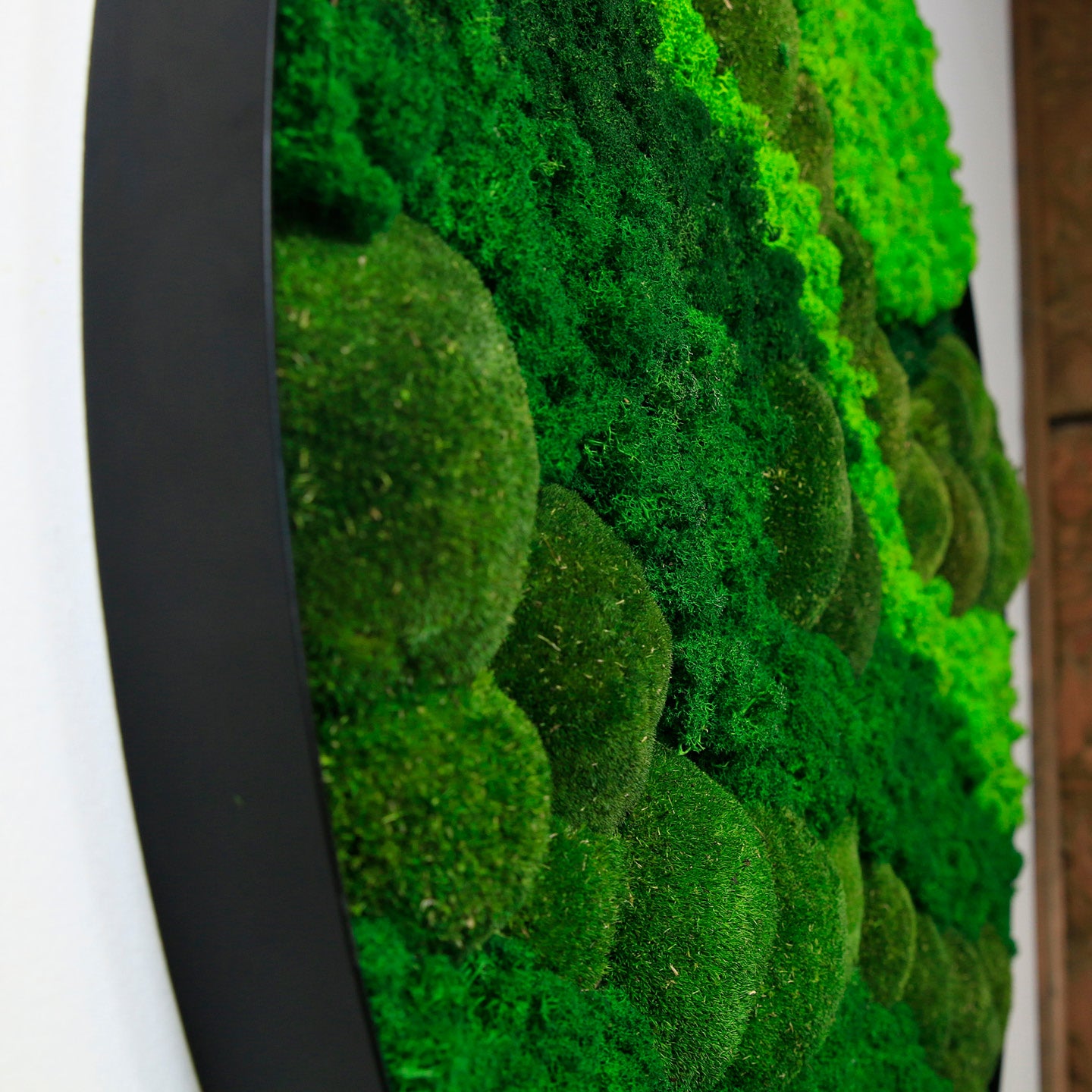Creating a Green Oasis: How To Use Moss Wall Art To Transform Your Home