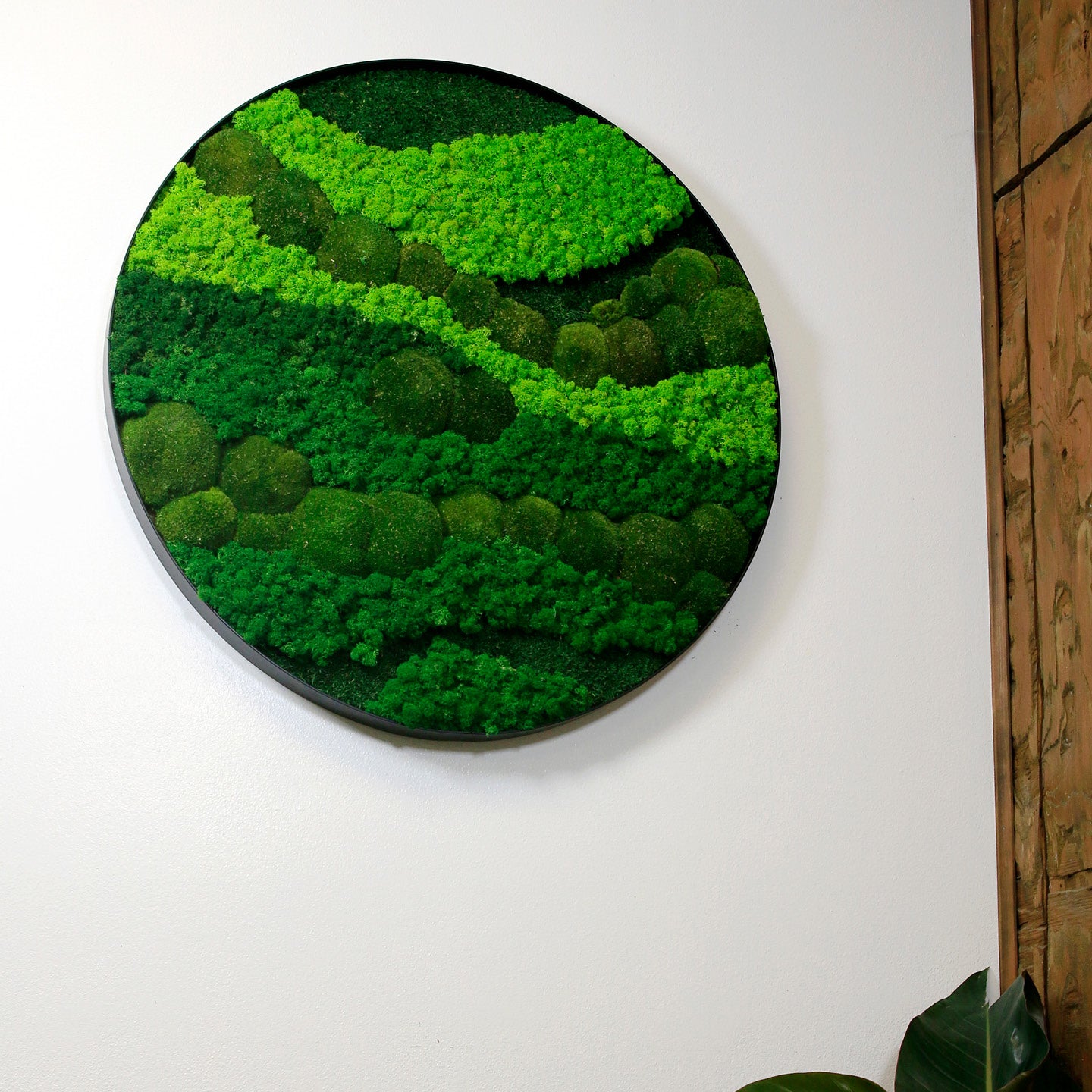 Moss Wall Art. Round Moss Frame. Planted Wall. Preserved Moss 