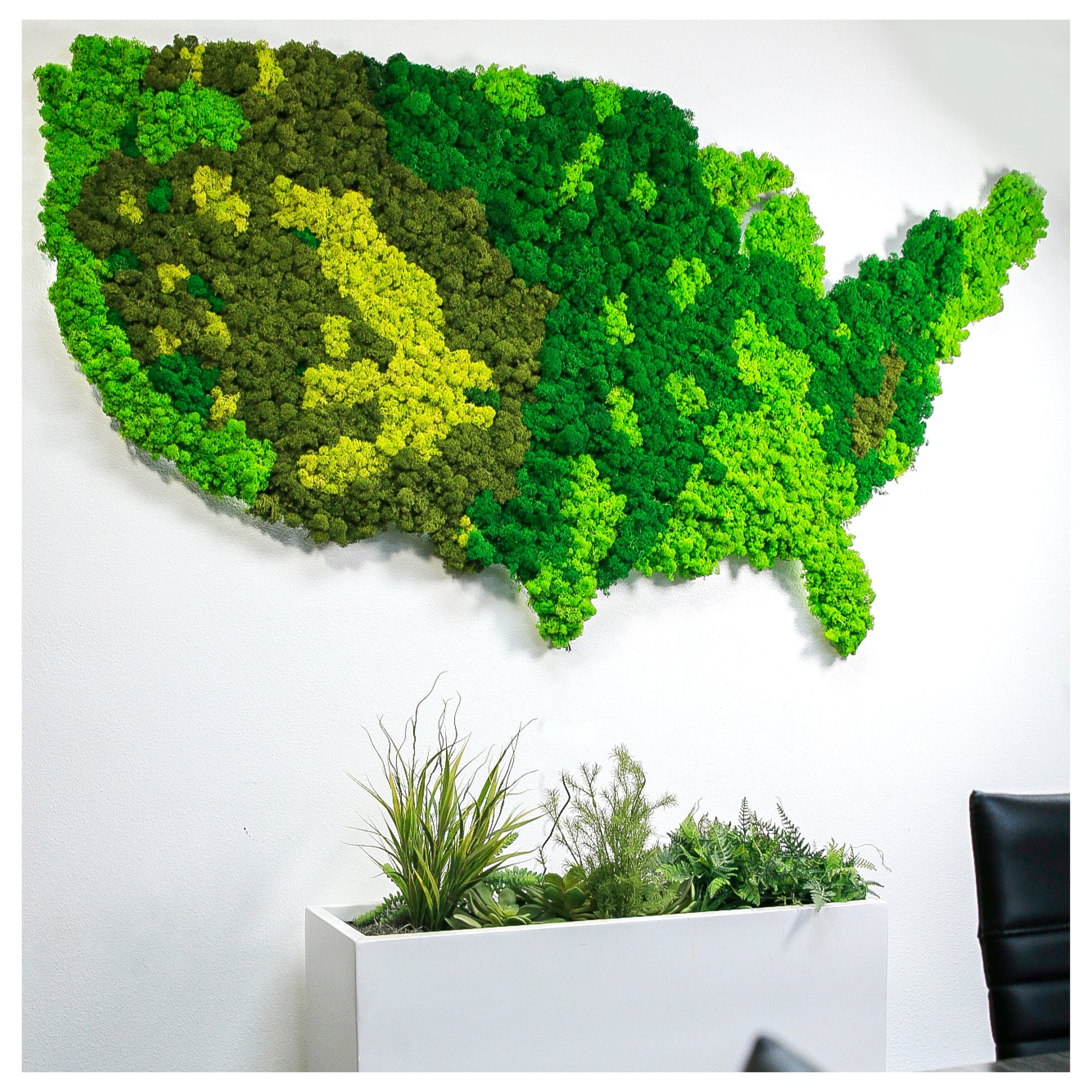 Naturemoss Moss Wall in Landscape - Picture in Premium Frame — My
